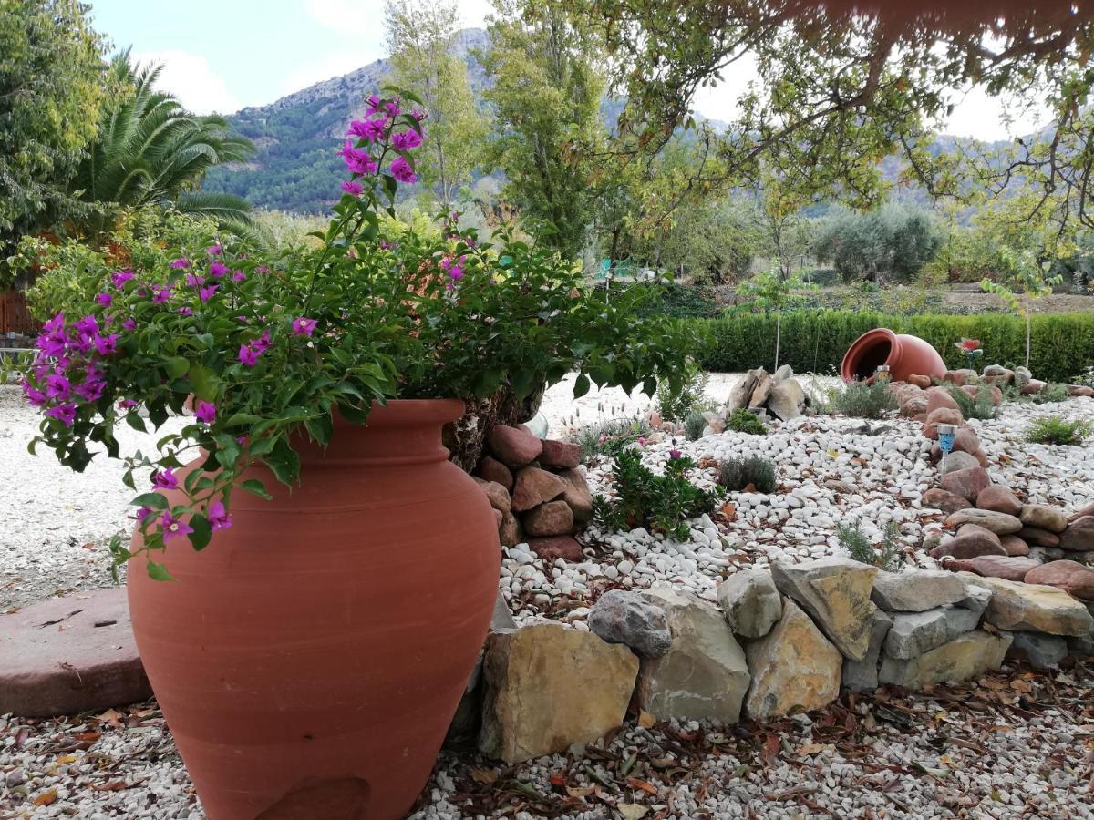 Alojamiento Rural Casa Fuente Del Prado La Iruela Εξωτερικό φωτογραφία