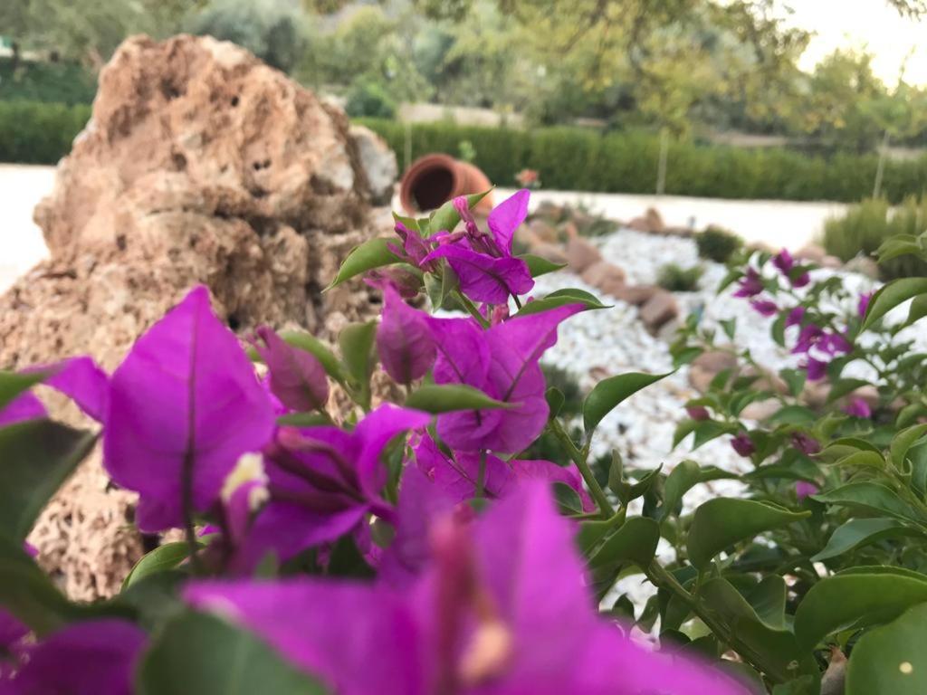 Alojamiento Rural Casa Fuente Del Prado La Iruela Εξωτερικό φωτογραφία