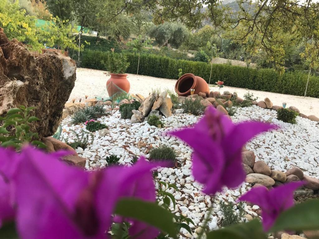 Alojamiento Rural Casa Fuente Del Prado La Iruela Εξωτερικό φωτογραφία